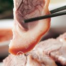 야식 이미지