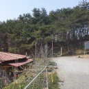 20200409-전북금과 유실수 지주 설치(항타기) 이미지