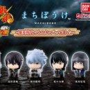 양이양이 이미지