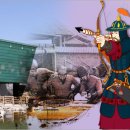 최무선과학관 이미지