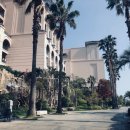 돈가맛돼지 이미지