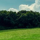 효안과의원 이미지