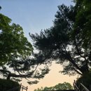 문정동하비오호텔앞 일요일 7시 오픈 메가커피
