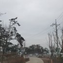 꾸지나무골 행복한 하우스 | 네 번째 캠핑 :: 태안둘레길캠핑장, 스노우라인 프라임디럭스 텐트