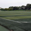 팽성레포츠공원 티스토리