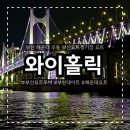 짐홀릭 | 부산여행 부산요트투어 추천 부산핫플 크리스마스트리요트, 와이홀릭 솔직 후기