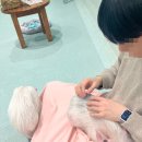 성민이는 내가 쓴 글을 업로드 된줄 모르고 있지