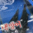 대보활어 이미지
