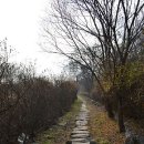 김흥섭농장 이미지