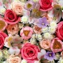 터미널  안경 이미지