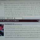선문대학교 행정대학원 Daum카페
