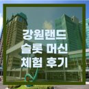 슬롯랜드 | 강원랜드에서의 슬롯 머신 체험 후기