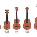 성인 우쿨렐레 이미지