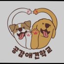 공감애견학교 | [김포 호텔/가격/후기] 공감애견학교 김포 애견훈련 전문의 기초