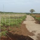 상창농장 이미지