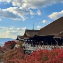 니코니코 | [교토 단풍 여행] 꿀팁🍁 니코니코투어 솔직 후기 (아라시야마·금각사·청수사·후시미이나리)