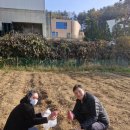 은명농장 이미지