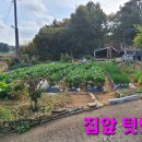 서산부동산 서산시 지곡면 대요리 벽돌구조 2층 단독주택 211py 건축 39py 서산시부동산 서산농가주택 서산세컨하우스 서산전원주택 이미지