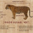 대호 이미지