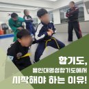 용인대 명성 합기도 이미지