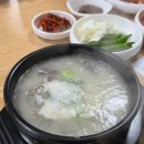 고성칡소곰탕 | [고성칡소곰탕] 강원도 고성 곰탕 맛집