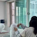 개인정애견샵 이미지