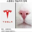 길토스트