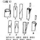 알기 쉬운 접목과 삽목 방법 ② 이미지