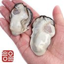 통영유통