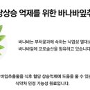 지플러스 이미지