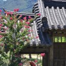 현내리 도원정사 이미지