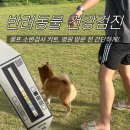 신우축산 | 강아지건강검진 셀프 소변검사로 알아볼 수 있다고요?! 반려동물 건강확인 cym702