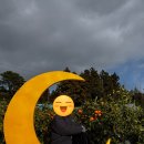 백수 농장 | 겨울 제주에서 뭐할까? 귤따기 체험 하례감귤체험농장 후기