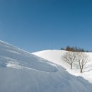 덕양목장2 이미지