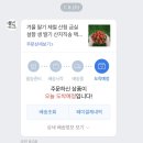 당도 최상의 딸기 맛집 🍓 풍년곳간 금실딸기 후기