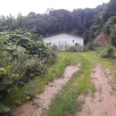 전원사슴농장 이미지