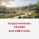 대구 네이처파크 플라워 페스티벌 후기 및 가족 나들이 추천