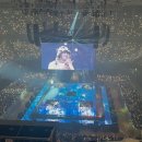 중앙체육관 | 우즈 콘서트 후기 index_00 잠실실내체육관 3층 31구역 12열 시야 멜론티켓 반송 현장수령