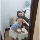 경희피아노음악학원 - 강서구 방화대로34길 80 | 경희피아노음악학원