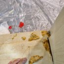 서초대로25길 76 (1) 이미지