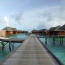 환상의섬 이미지