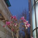 밀밭분식 이미지