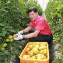 예천군농산물산지유통센터 이미지