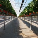 단산농장 이미지