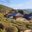 다솔사길 | 사천 다솔사 주차장부터 녹차밭까지 역사와 힐링이 함께하는 완벽 여행 가이드
