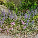 아미캠핑장 이미지