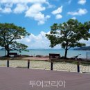 다향 투어코리아