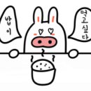 반갑다연어야 이미지