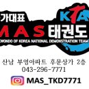 국가대표 샛별태권도장 이미지