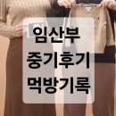 임산부 최근 먹방 후기🍕🥖🍴
